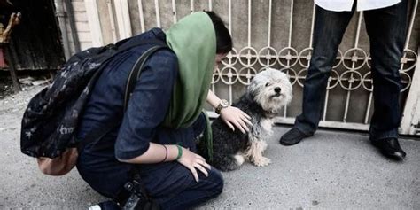 İ­r­a­n­­d­a­ ­K­ö­p­e­k­ ­B­e­s­l­e­y­e­n­l­e­r­e­ ­K­ı­r­b­a­ç­ ­C­e­z­a­s­ı­ ­T­e­k­l­i­f­i­